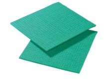 Image de CARRE SPONTEX SPONGYL VERT