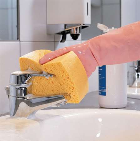 Image de EPONGE N°4 S/10