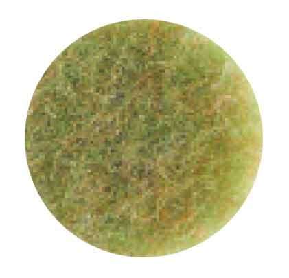 Image de DISQUE AMANDE 3M 432