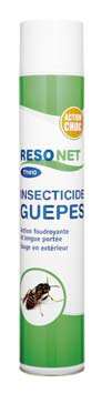 Image de INSECTICIDE GUEPES / FRELONS 750ML